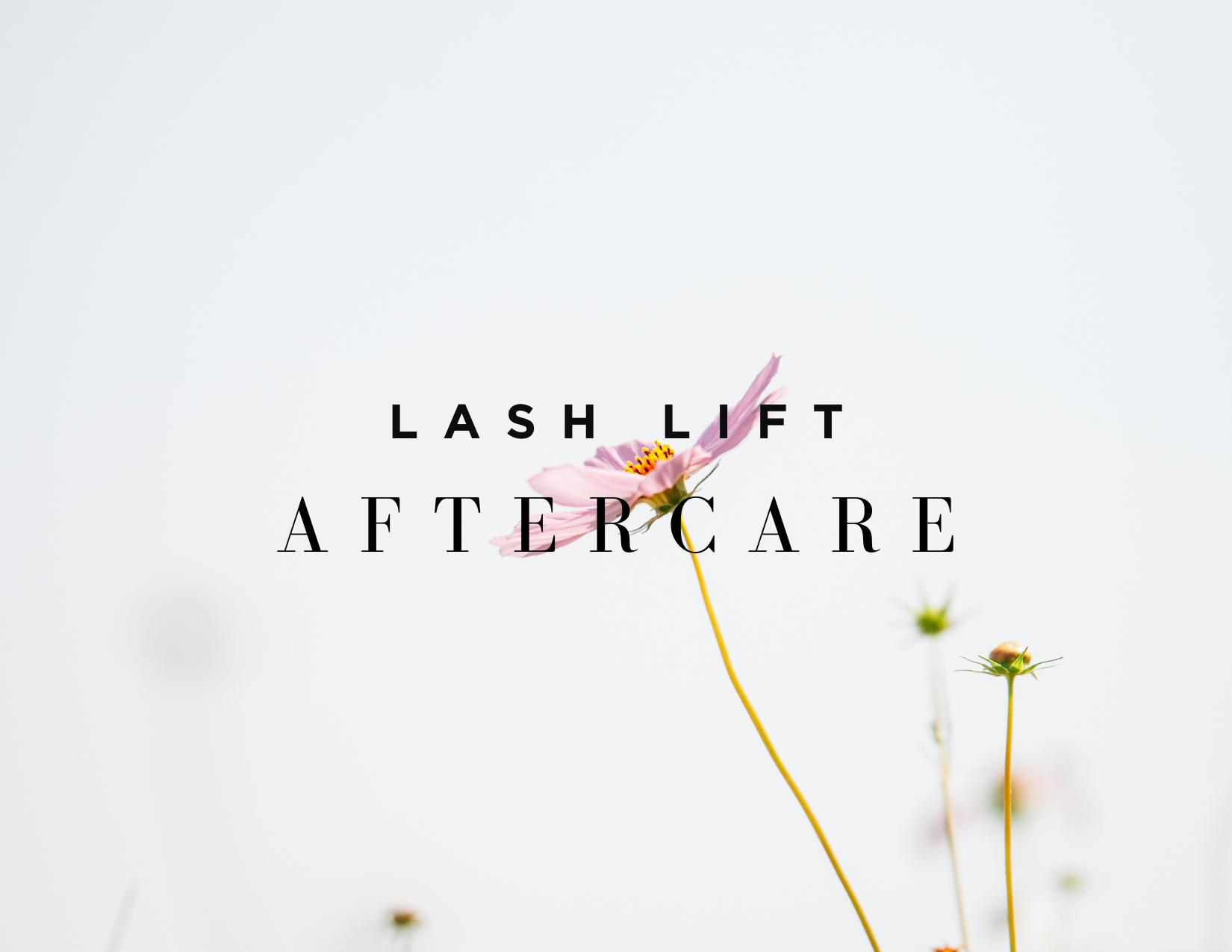 Free lash lift aftercare card